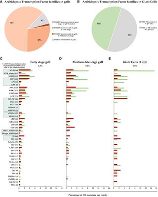 Functional studies of plant transcription factors and their relevance in the plant root-knot nematode interaction